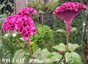 f:id:mikawakinta63:20190828135358j:plain f:id:mikawakinta63:20190828135358j:plain