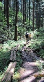 f:id:mikawakinta63:20190830130419j:plain f:id:mikawakinta63:20190830130419j:plain