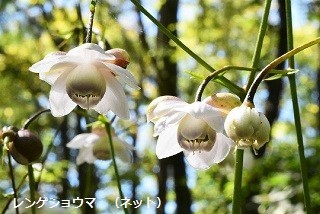 f:id:mikawakinta63:20190904161802j:plain f:id:mikawakinta63:20190904161802j:plain