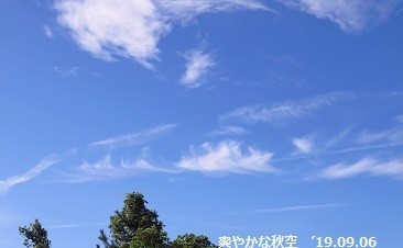 f:id:mikawakinta63:20190906133823j:plain f:id:mikawakinta63:20190906133823j:plain