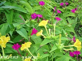 f:id:mikawakinta63:20190906141427j:plain f:id:mikawakinta63:20190906141427j:plain