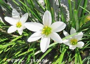 f:id:mikawakinta63:20190906143638j:plain f:id:mikawakinta63:20190906143638j:plain