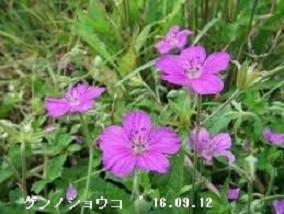 f:id:mikawakinta63:20190918213118j:plain f:id:mikawakinta63:20190918213118j:plain