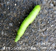 f:id:mikawakinta63:20190918213522j:plain f:id:mikawakinta63:20190918213522j:plain
