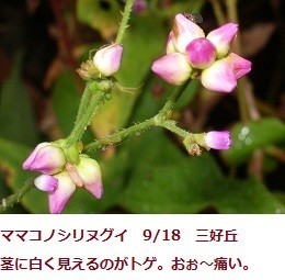 f:id:mikawakinta63:20190918213847j:plain f:id:mikawakinta63:20190918213847j:plain