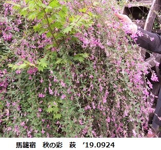 f:id:mikawakinta63:20190926210241j:plain f:id:mikawakinta63:20190926210241j:plain