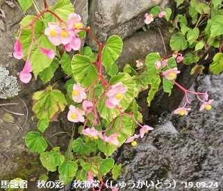 f:id:mikawakinta63:20190926210254j:plain f:id:mikawakinta63:20190926210254j:plain