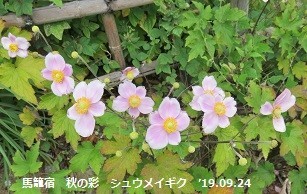 f:id:mikawakinta63:20190926210306j:plain f:id:mikawakinta63:20190926210306j:plain