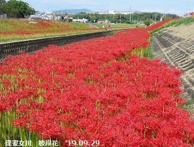 f:id:mikawakinta63:20191001154447j:plain f:id:mikawakinta63:20191001154447j:plain