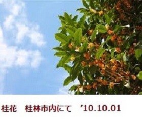 f:id:mikawakinta63:20191002151018j:plain f:id:mikawakinta63:20191002151018j:plain