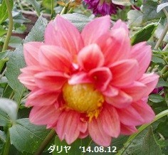 f:id:mikawakinta63:20191011202747j:plain f:id:mikawakinta63:20191011202747j:plain