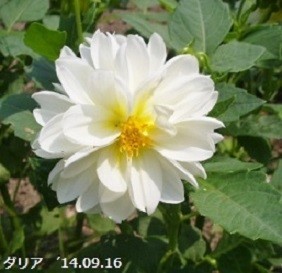 f:id:mikawakinta63:20191011202807j:plain f:id:mikawakinta63:20191011202807j:plain