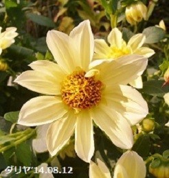 f:id:mikawakinta63:20191011203413j:plain f:id:mikawakinta63:20191011203413j:plain