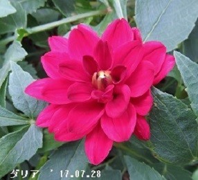 f:id:mikawakinta63:20191011203429j:plain f:id:mikawakinta63:20191011203429j:plain
