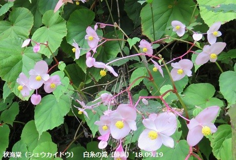 f:id:mikawakinta63:20191014153414j:plain f:id:mikawakinta63:20191014153414j:plain