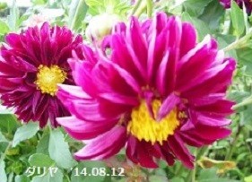 f:id:mikawakinta63:20191014155558j:plain f:id:mikawakinta63:20191014155558j:plain