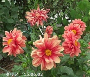 f:id:mikawakinta63:20191014162749j:plain f:id:mikawakinta63:20191014162749j:plain