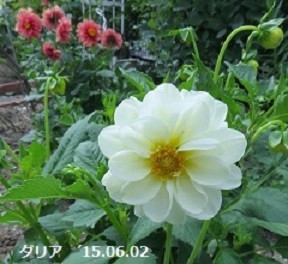 f:id:mikawakinta63:20191014162806j:plain f:id:mikawakinta63:20191014162806j:plain