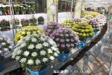 f:id:mikawakinta63:20191104144027j:plain f:id:mikawakinta63:20191104144027j:plain