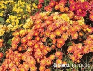 f:id:mikawakinta63:20191104150653j:plain f:id:mikawakinta63:20191104150653j:plain