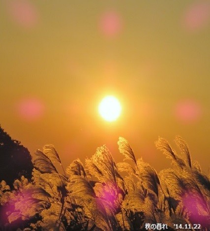 f:id:mikawakinta63:20191113150031j:plain f:id:mikawakinta63:20191113150031j:plain