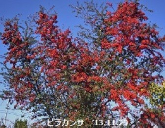f:id:mikawakinta63:20191125142423j:plain f:id:mikawakinta63:20191125142423j:plain