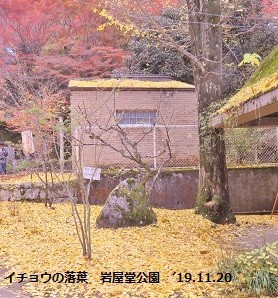 f:id:mikawakinta63:20191213161348j:plain f:id:mikawakinta63:20191213161348j:plain