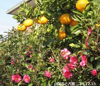 f:id:mikawakinta63:20191216105340j:plain f:id:mikawakinta63:20191216105340j:plain