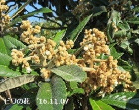 f:id:mikawakinta63:20191217153406j:plain f:id:mikawakinta63:20191217153406j:plain