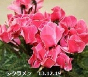 f:id:mikawakinta63:20191220151439j:plain f:id:mikawakinta63:20191220151439j:plain