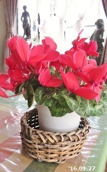 f:id:mikawakinta63:20191220151457j:plain f:id:mikawakinta63:20191220151457j:plain