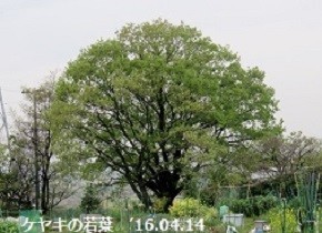 f:id:mikawakinta63:20191223155720j:plain f:id:mikawakinta63:20191223155720j:plain