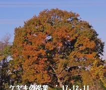 f:id:mikawakinta63:20191223155820j:plain f:id:mikawakinta63:20191223155820j:plain