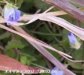 f:id:mikawakinta63:20200206171110j:plain f:id:mikawakinta63:20200206171110j:plain
