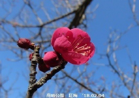 f:id:mikawakinta63:20200207161117j:plain f:id:mikawakinta63:20200207161117j:plain