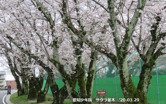 f:id:mikawakinta63:20200331165349j:plain f:id:mikawakinta63:20200331165349j:plain