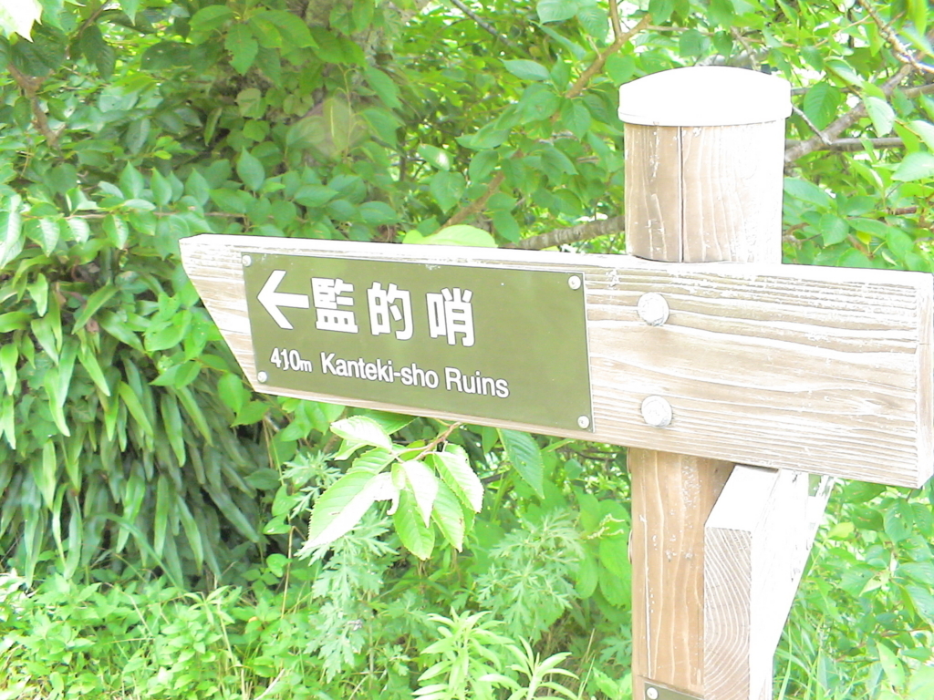 f:id:mikawakougei:20160710020400j:plain