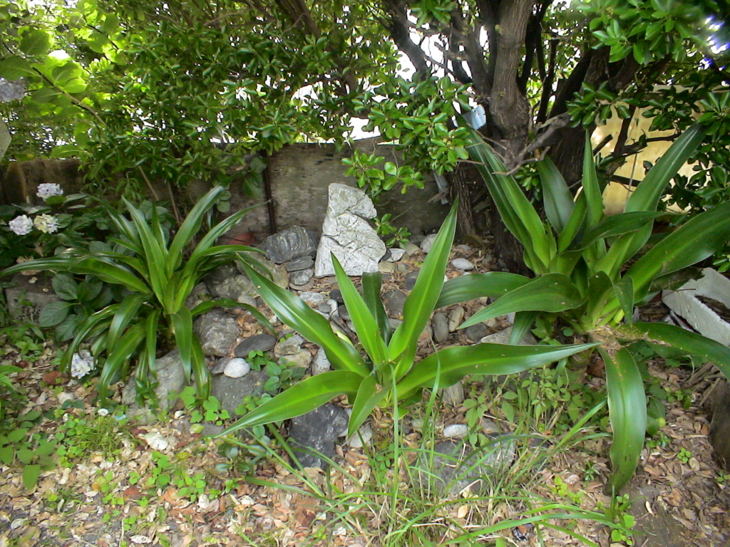 f:id:mikawakougei:20160716030136j:plain