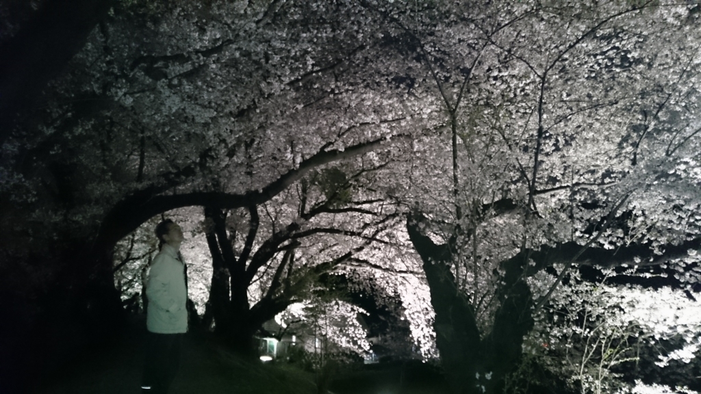 f:id:mikawakougei:20180401042455j:plain f:id:mikawakougei:20180401042455j:plain