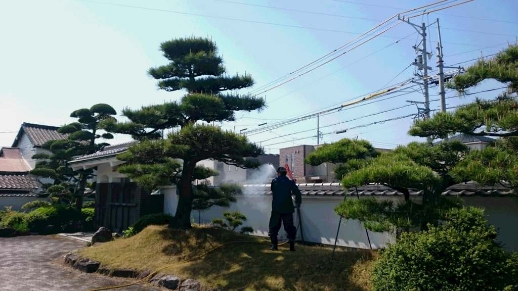 f:id:mikawakougei:20180422031014j:plain f:id:mikawakougei:20180422031014j:plain