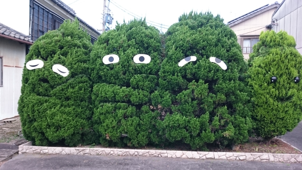 f:id:mikawakougei:20180613035829j:plain