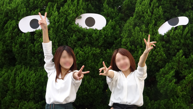 f:id:mikawakougei:20181027035032j:plain f:id:mikawakougei:20181027035032j:plain