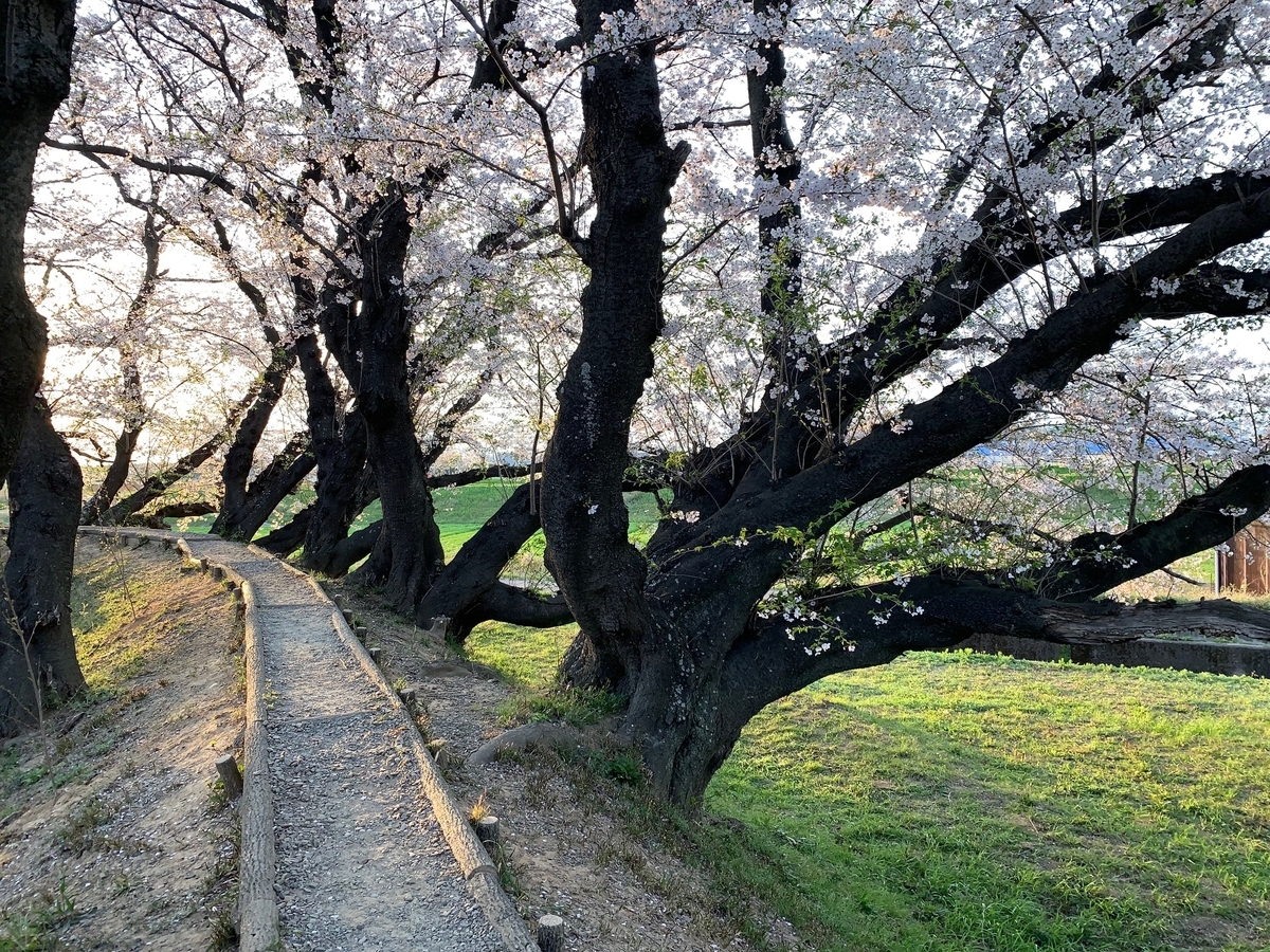 f:id:mikawakougei:20190410021442j:plain f:id:mikawakougei:20190410021442j:plain