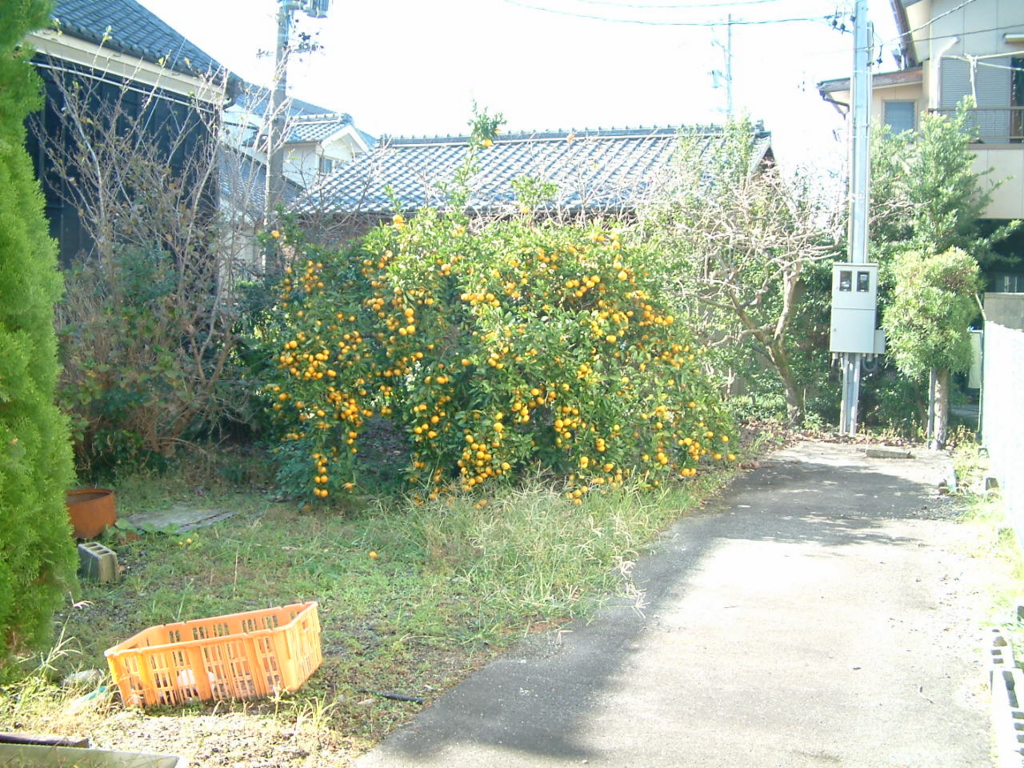 f:id:mikawakougei:20190424041648j:plain