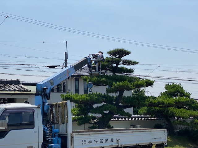 f:id:mikawakougei:20210616000823j:plain