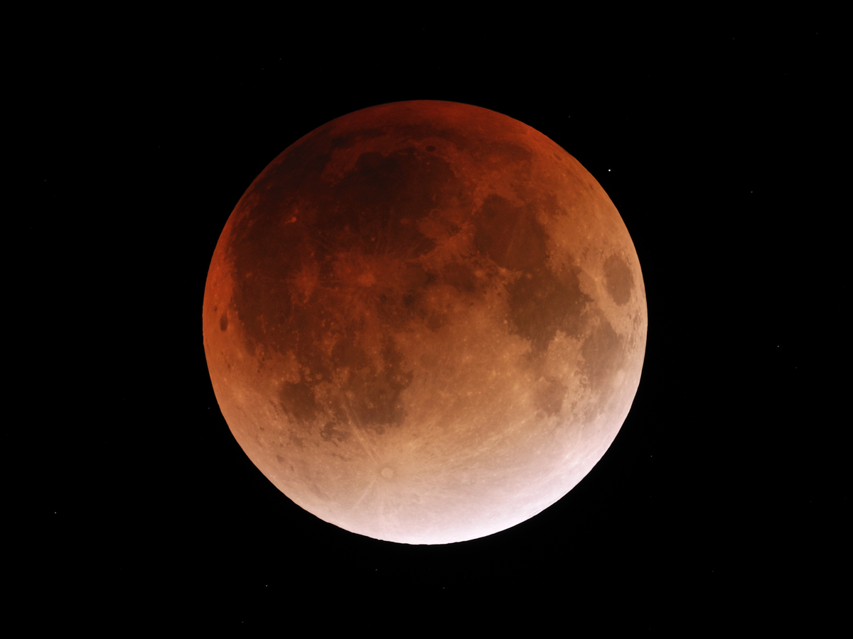 f:id:mikawakougei:20211119015310j:plain