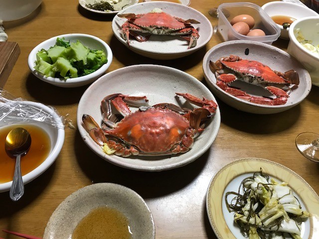 f:id:mikawawan:20200319211349j:plain