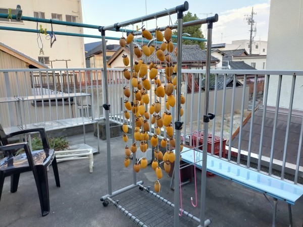 f:id:mikawawan:20201108223140j:plain