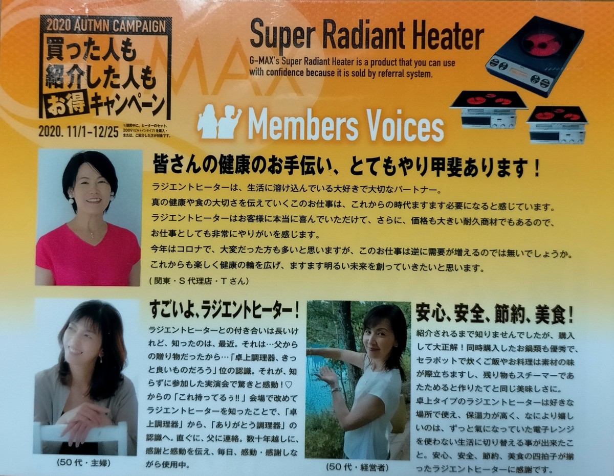f:id:mikawawan:20201219235907j:plain