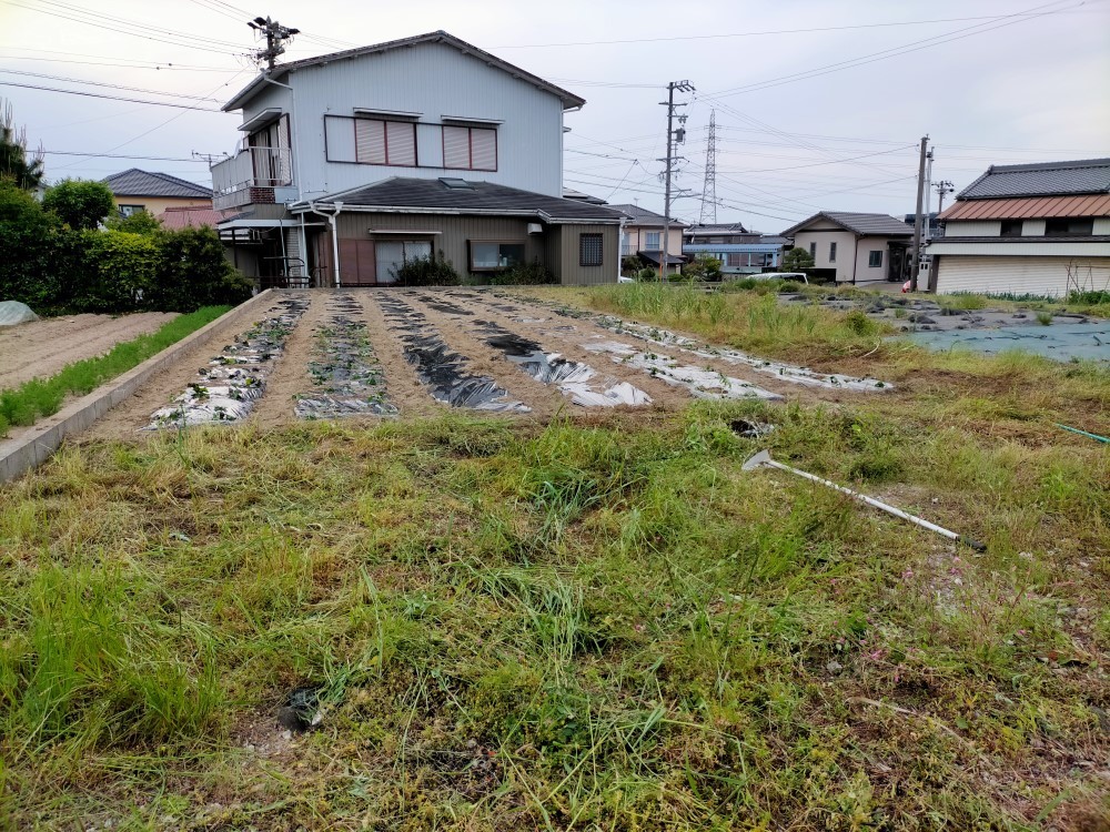 f:id:mikawawan:20210507210158j:plain